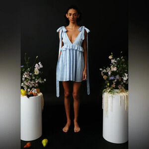 NWT Allina Liu Sammie Dress